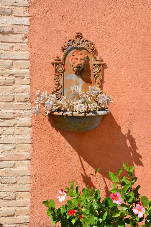 Bed and Breakfast Les Jardins De L'Ermitage Ле Саль-Сюр-Вердон Экстерьер фото